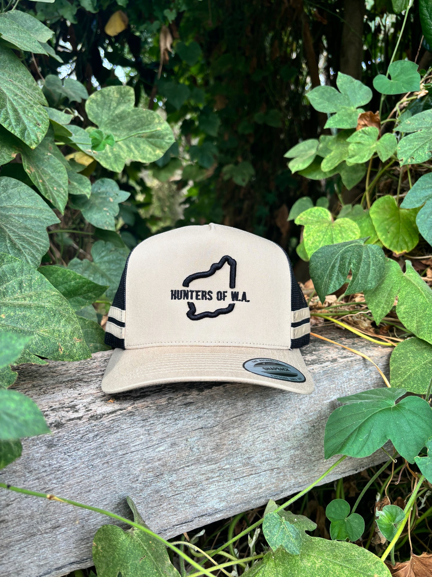 Deep Trucker Cap